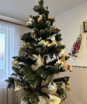 zobrazhennia_viber_2023-11-27_15-55-00-122